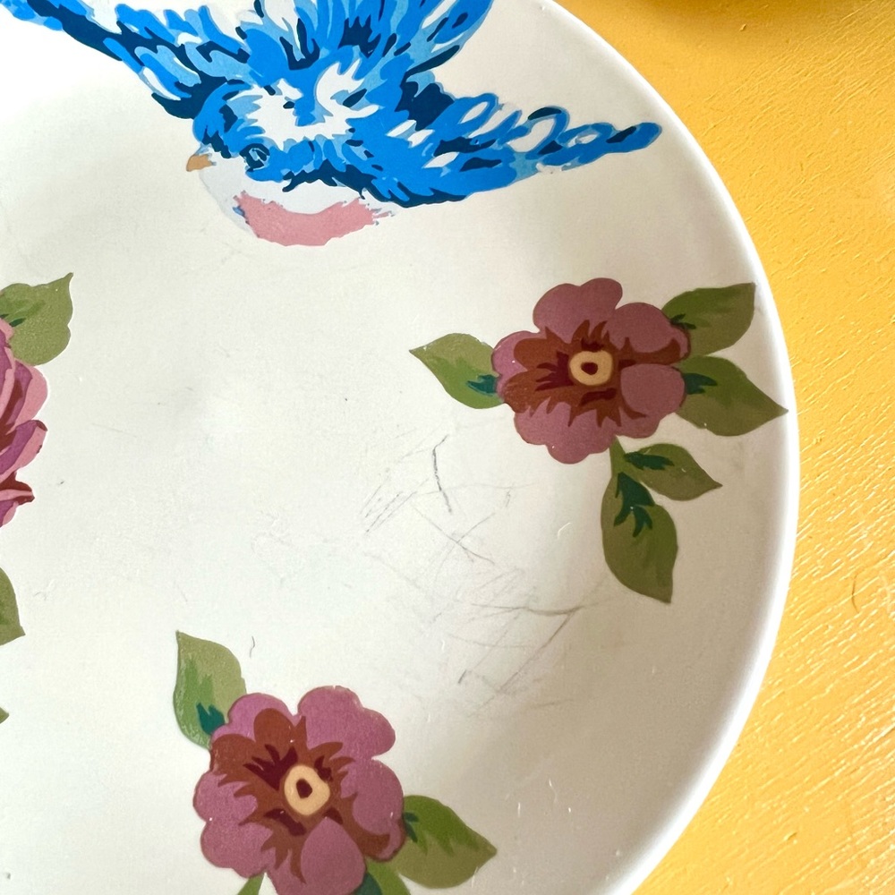 Songbird Garden by Rosie B. Farmer Bowl And Small Plate Sets Pink Blue Green - Picture 11 of 13